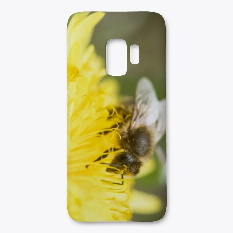 Honey Bee &amp; Dandelion Flower