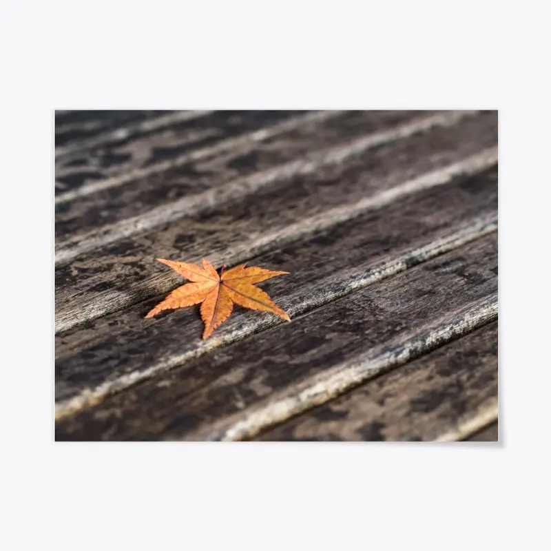 Autumn Leaf