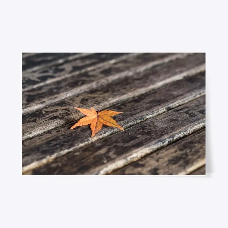 Autumn Leaf