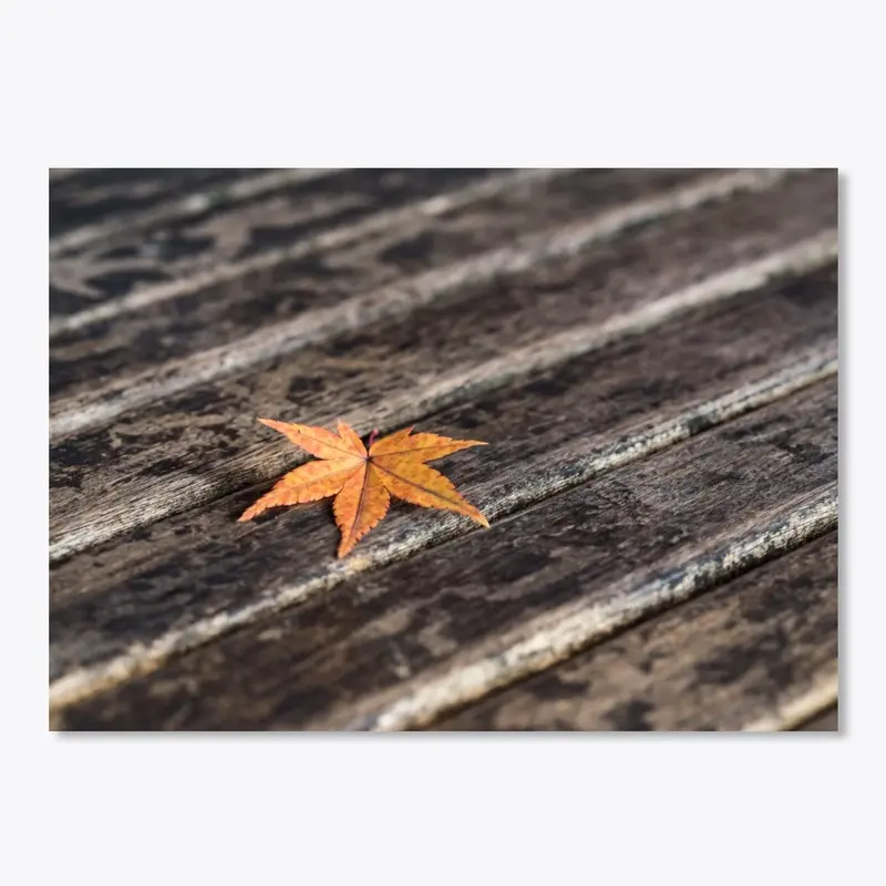 Autumn Leaf