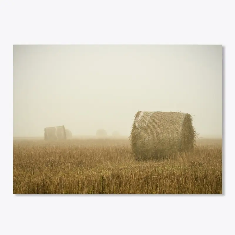 Minimalist Scandinavian Foggy Landscape