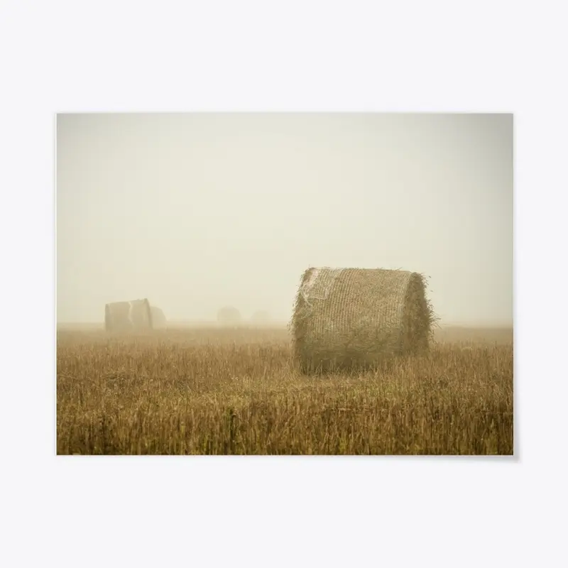 Minimalist Scandinavian Foggy Landscape